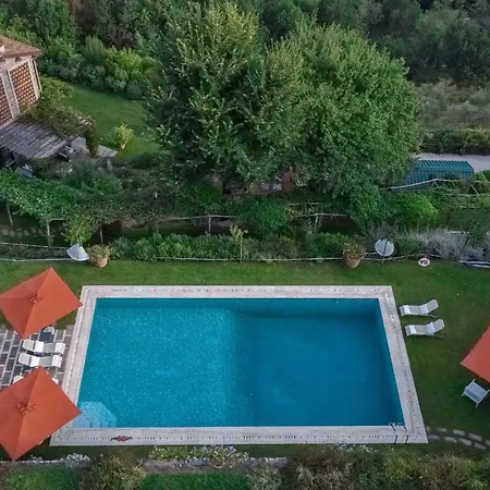 Pinoni Marlia